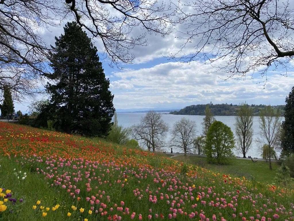 Isola di Mainau